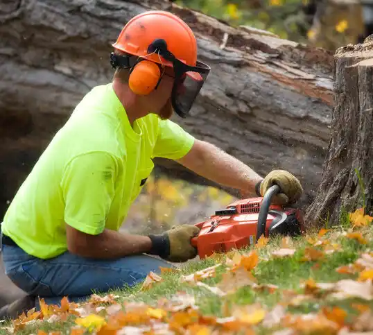 tree services Bonne Terre